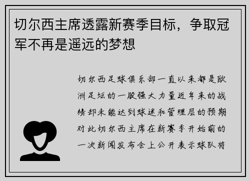 切尔西主席透露新赛季目标，争取冠军不再是遥远的梦想
