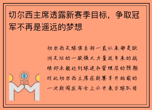 切尔西主席透露新赛季目标，争取冠军不再是遥远的梦想